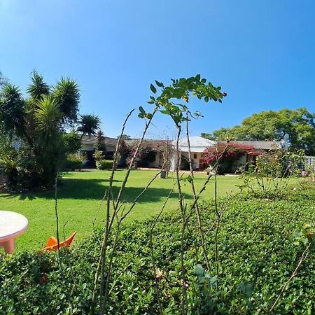 Blue Mango Lodge Kempton Park Luaran gambar