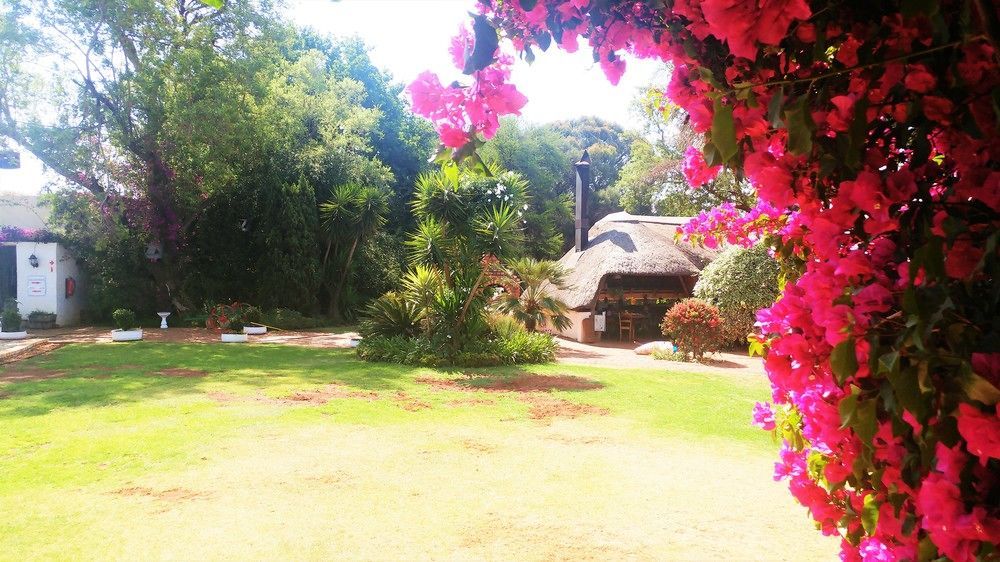 Blue Mango Lodge Kempton Park Luaran gambar