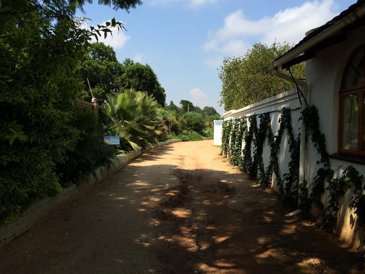Blue Mango Lodge Kempton Park Luaran gambar