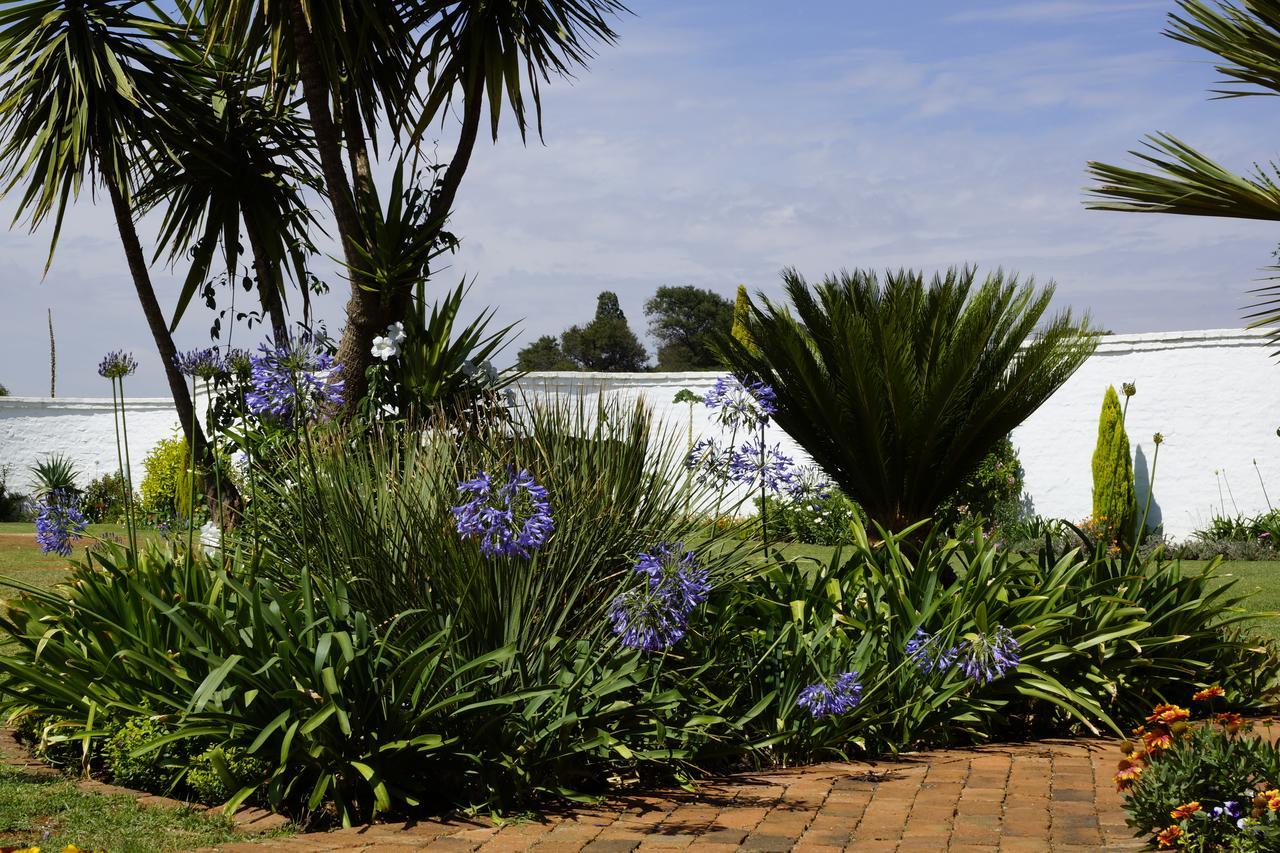 Blue Mango Lodge Kempton Park Luaran gambar