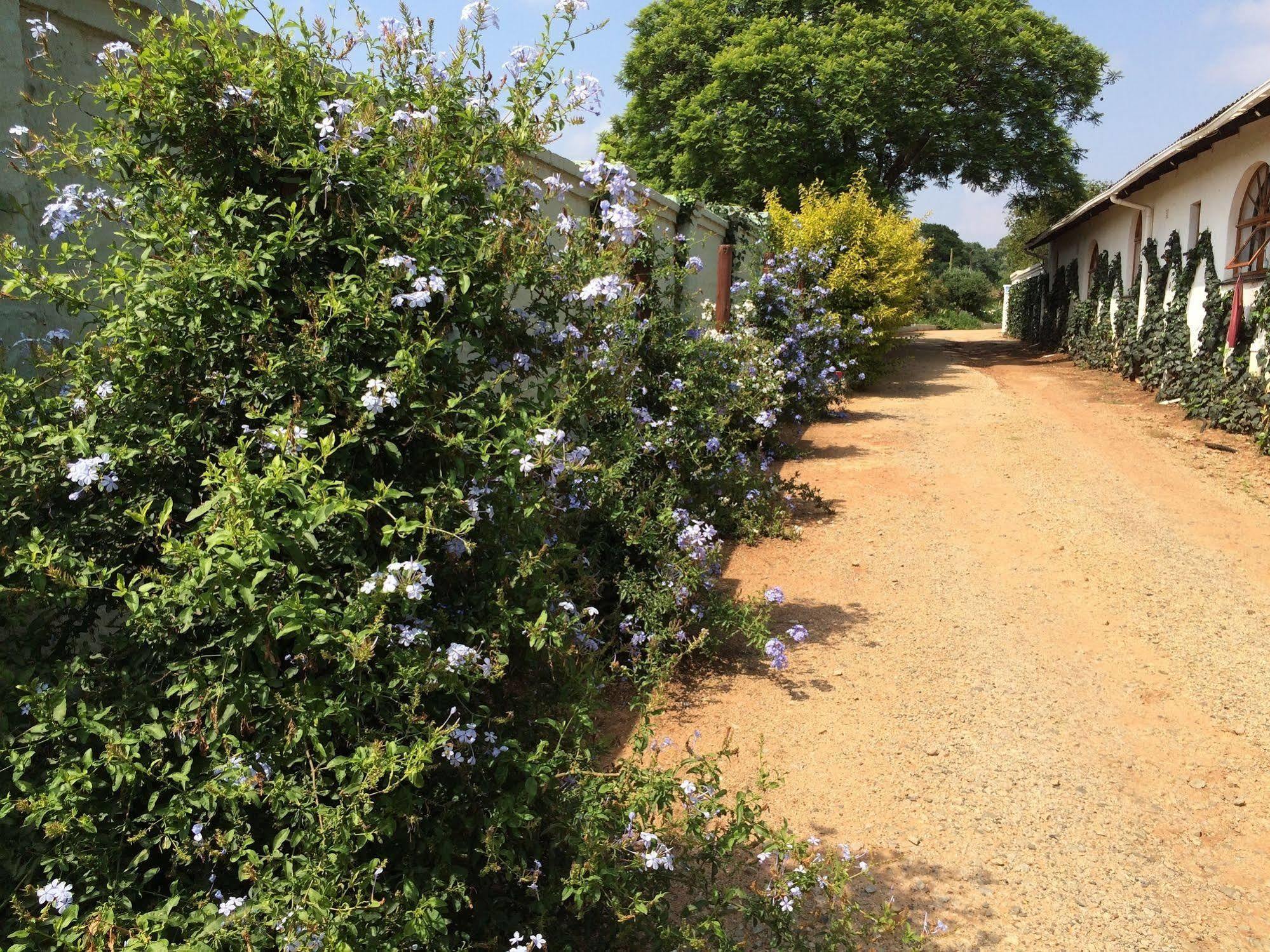 Blue Mango Lodge Kempton Park Luaran gambar